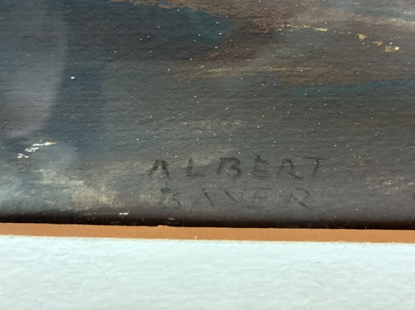 Albert Bayer 208