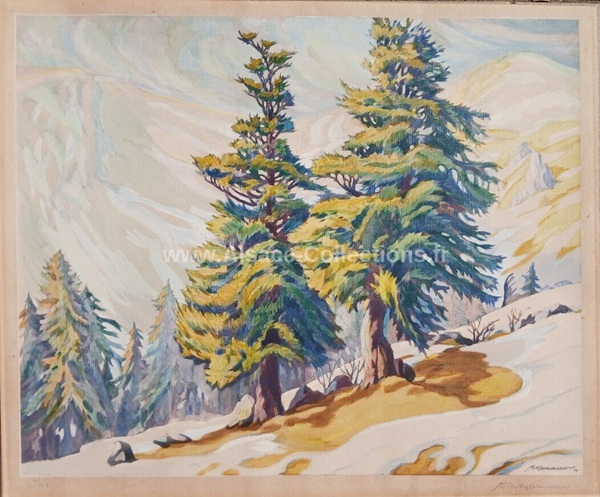 Robert Kammerer 131c